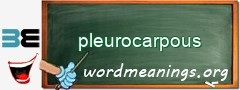 WordMeaning blackboard for pleurocarpous